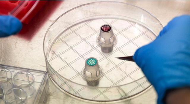 Swiss Startup - SiMPLInext Main Image