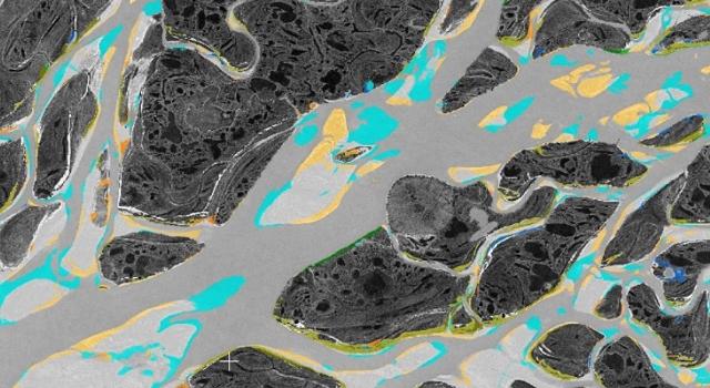 Swiss Startup - ExoLabs Product Image