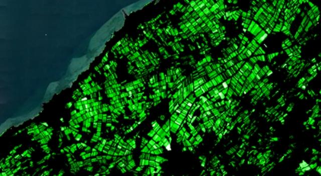 Swiss Startup - ExoLabs Team Image