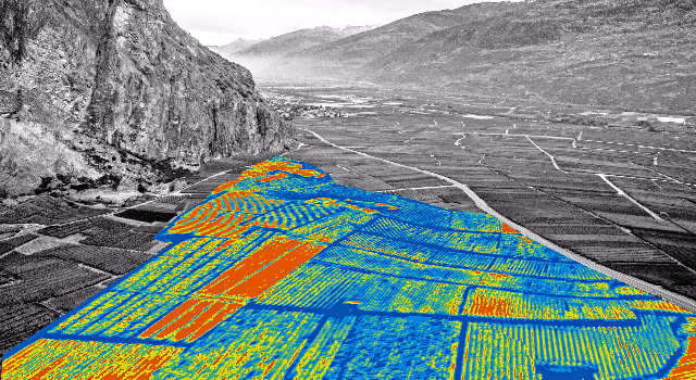 Swiss Startup - Precision Vine Team Image