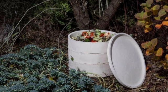 Swiss Startup - WormUp Main Image