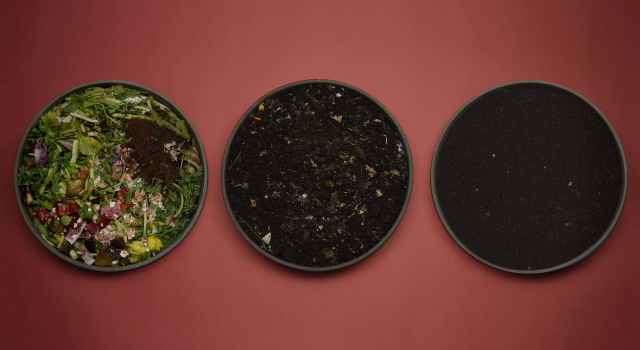 Swiss Startup - WormUp Team Image