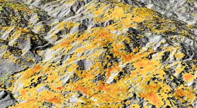 Swiss Startup - 4DiXplorer Product Image