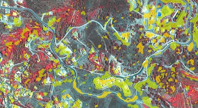 Swiss Startup - 4DiXplorer Team Image