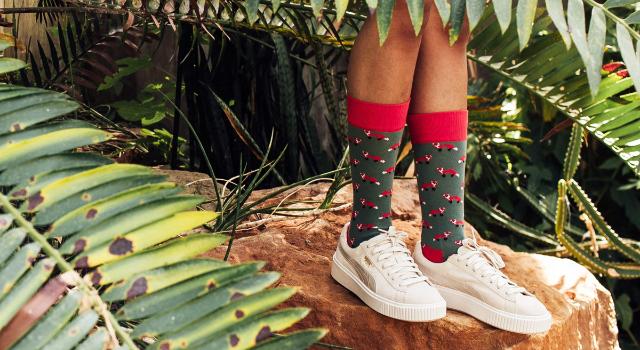 Swiss Startup - DillySocks Additional Image