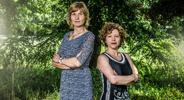 Swiss Startup - Morphotonix Main Image