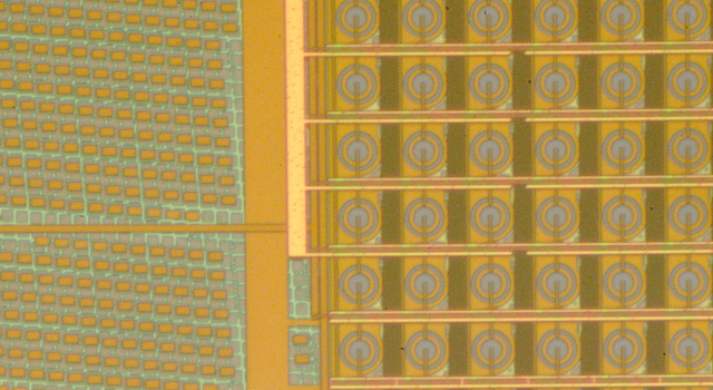 Swiss Startup - Fastree3D Team Image