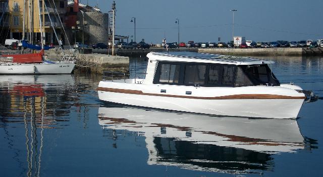 Swiss Startup - Grove Boats Product Image