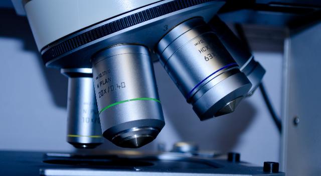 Swiss Startup - Prexton Therapeutics SA  Main Image