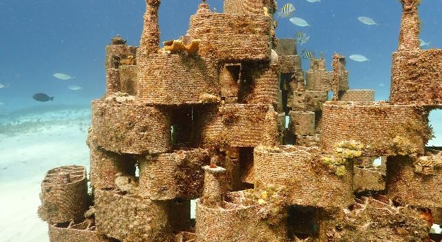 Swiss Startup - rrreefs Product Image