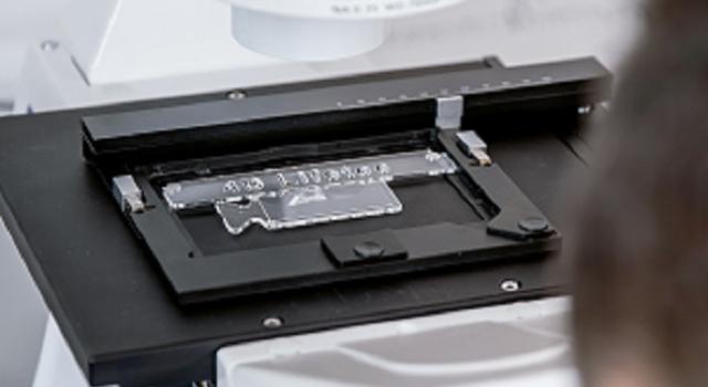 Swiss Startup - 4D Lifetec Product Image