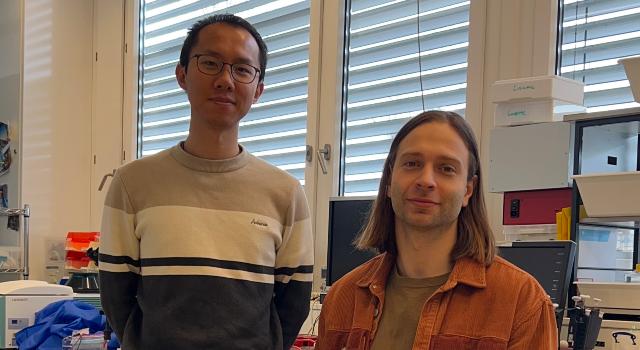 Swiss Startup - MOLECL Team Image