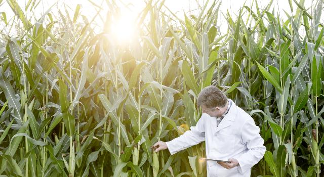 Swiss Startup - AgroScience Capital Additional Image