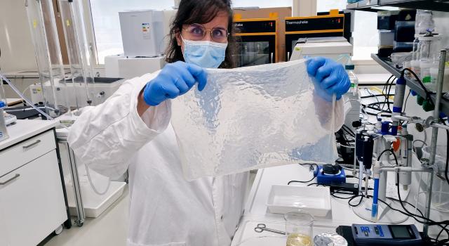 Swiss Startup - Algaltek Main Image