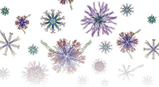 Swiss Startup - Alpha-O Peptides Main Image