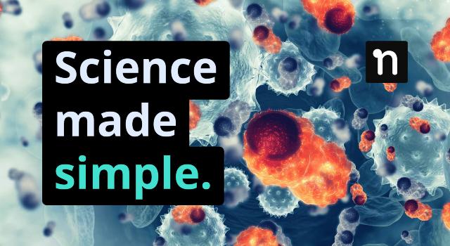 Swiss Startup - Alphacruncher Main Image