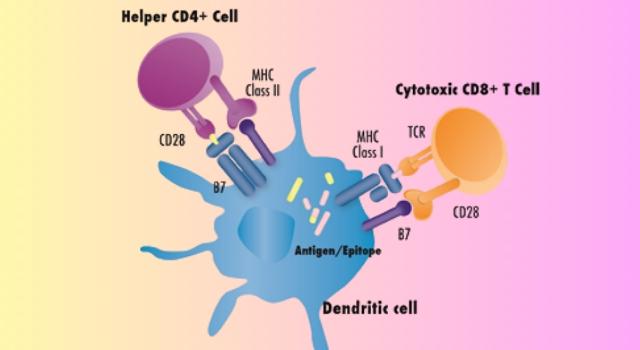 Swiss Startup - Amal Therapeutics SA  Main Image