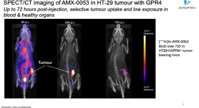Swiss Startup - Amphilix Additional Image