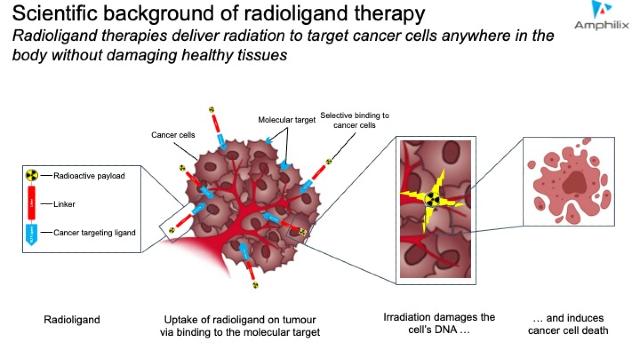 Swiss Startup - Amphilix Main Image