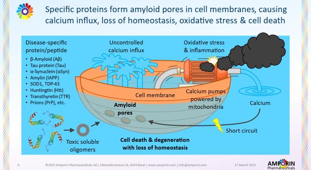 Swiss Startup - Amporin Pharmaceuticals Product Image