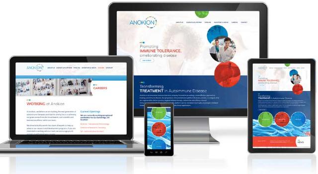 Swiss Startup - Anokion Additional Image