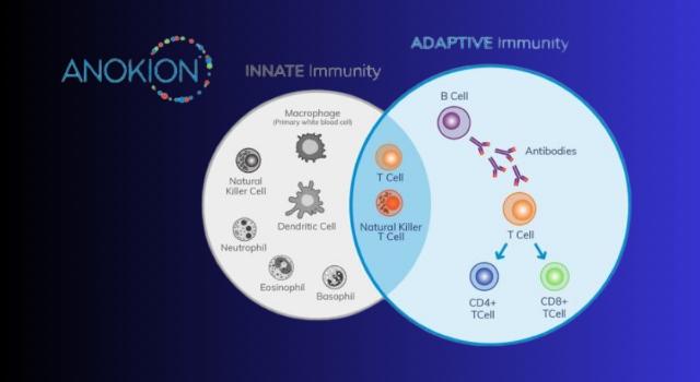 Swiss Startup - Anokion Main Image