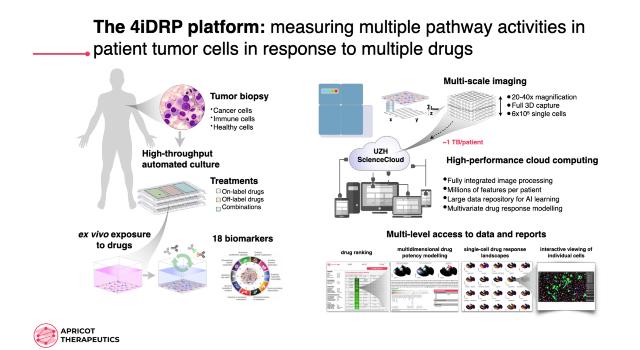 Swiss Startup - Apricot Therapeutics Product Image