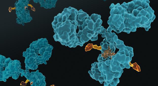 Swiss Startup - Araris Biotech Main Image