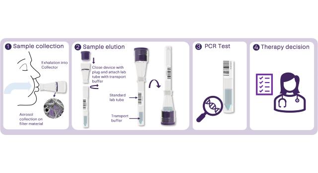 Swiss Startup - Avelo Product Image