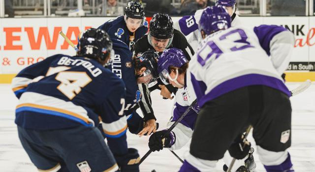 Swiss Startup - Bearmind Additional Image