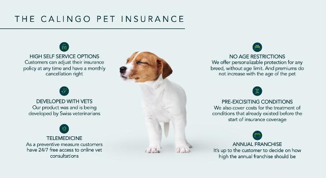 Swiss Startup - Calingo Insurance Team Image