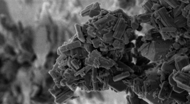 Swiss Startup - Calspak Product Image