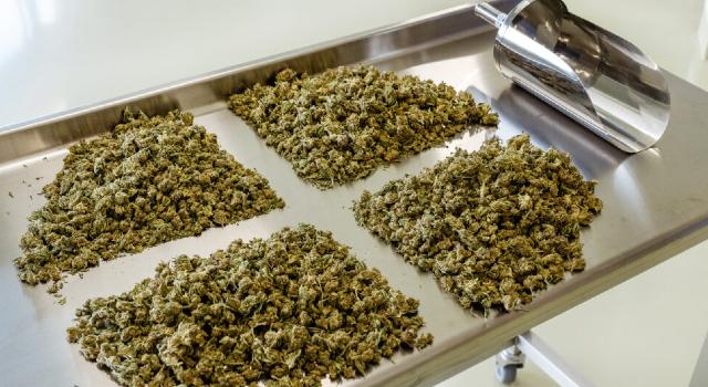 Swiss Startup - Canexis Pharma Additional Image