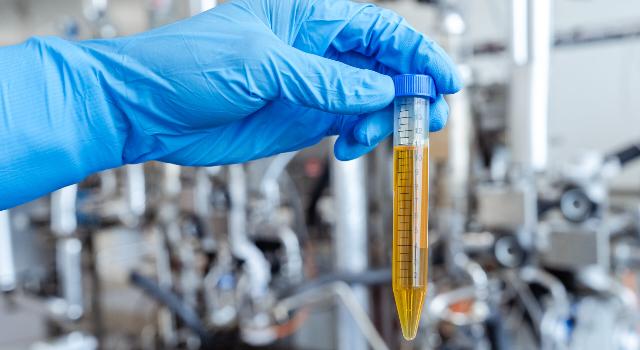 Swiss Startup - Canexis Pharma Main Image