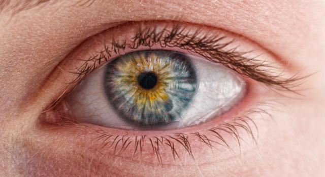 Swiss Startup - Ocumeda Main Image