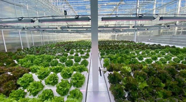 Swiss Startup - CleanGreens Solutions Main Image