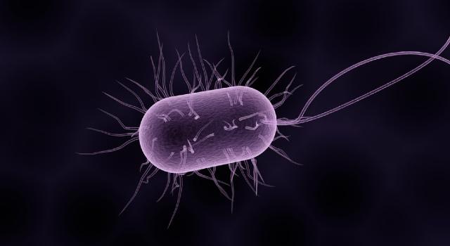 Swiss Startup - Combioxin Main Image