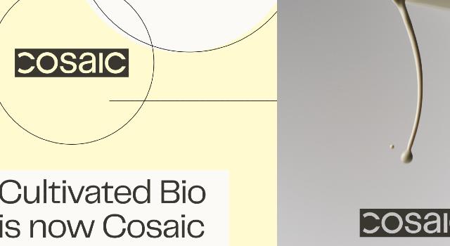 Cosaic