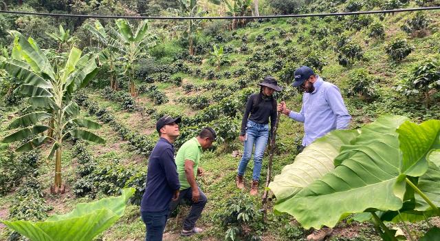 Swiss Startup - Cotierra Additional Image