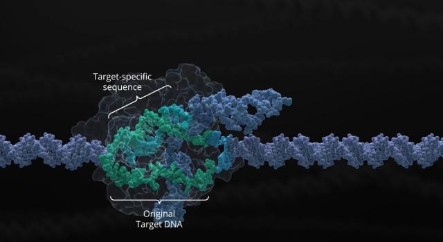 Swiss Startup - Crispr Therapeutics Main Image