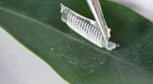 Swiss Startup - DecodeNAture Main Image