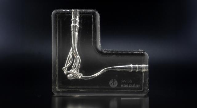 Swiss Startup - Swiss Vascular Additional Image
