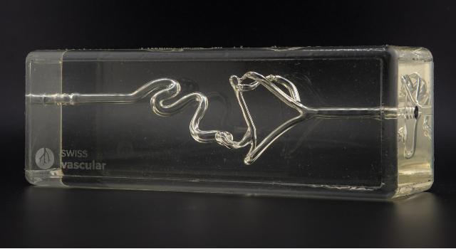 Swiss Startup - Swiss Vascular Product Image