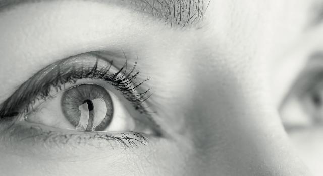 Swiss Startup - EarlySight Main Image