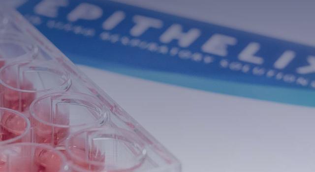 Swiss Startup - Epithelix Main Image