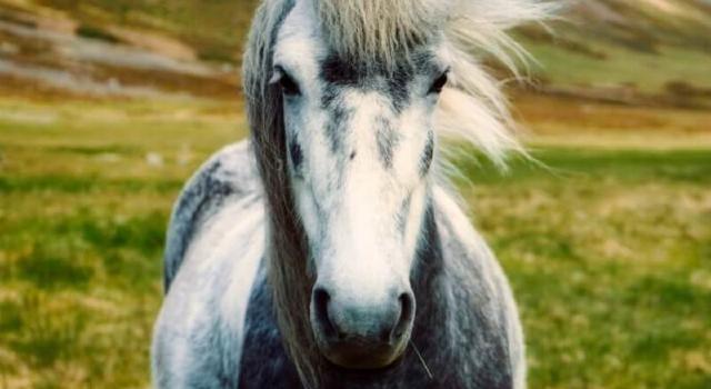 Swiss Startup - Evax Main Image