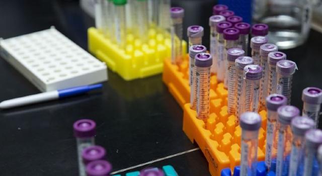 Swiss Startup - EvlaBio Main Image