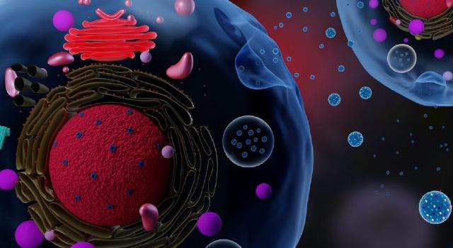 Swiss Startup - Exogems Main Image