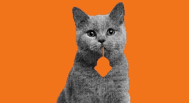 Swiss Startup - Flappie Technologies Main Image