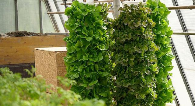 Swiss Startup - FrugalTec Main Image